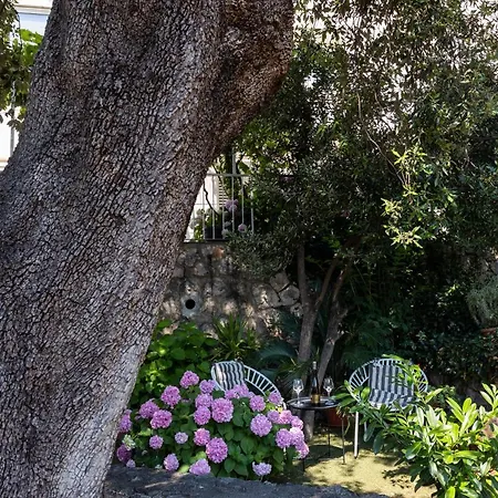 And Lena 3* Дубровник